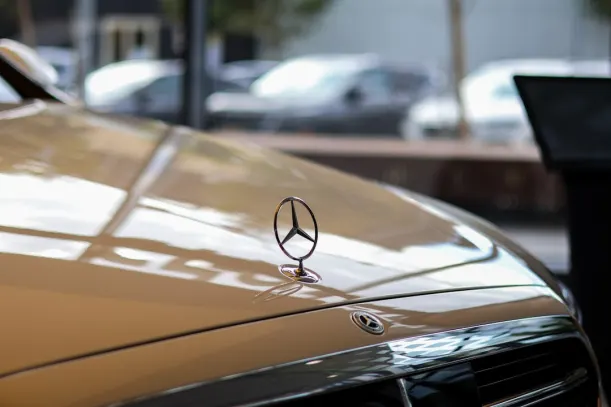 카지노 페어그라운드 슬롯츠 안드로이드/iOS 앱